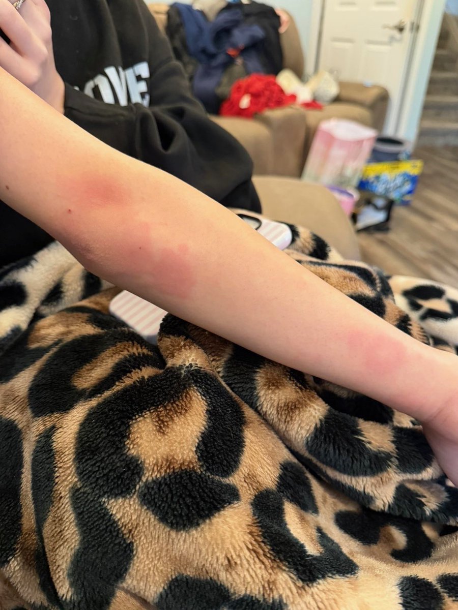 katie podar tweet media