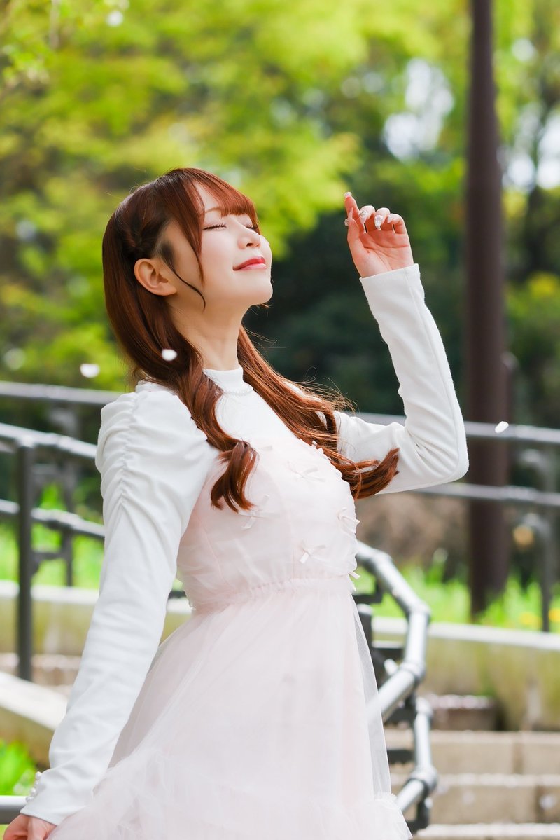 笹の才蔵🦕 tweet media