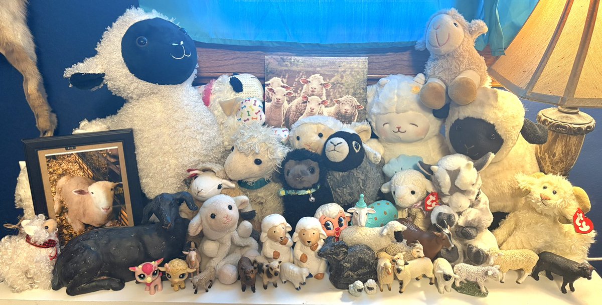 Lamb / Airy 🐑🪶🔜 TFF tweet media