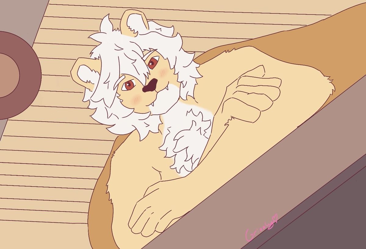 Grizzly₊˚⋆♡ tweet media