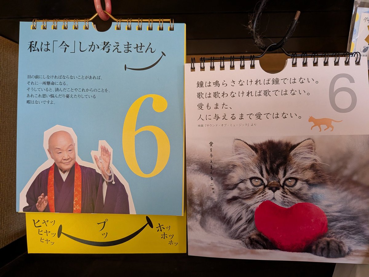 コヅカ美掃 tweet media