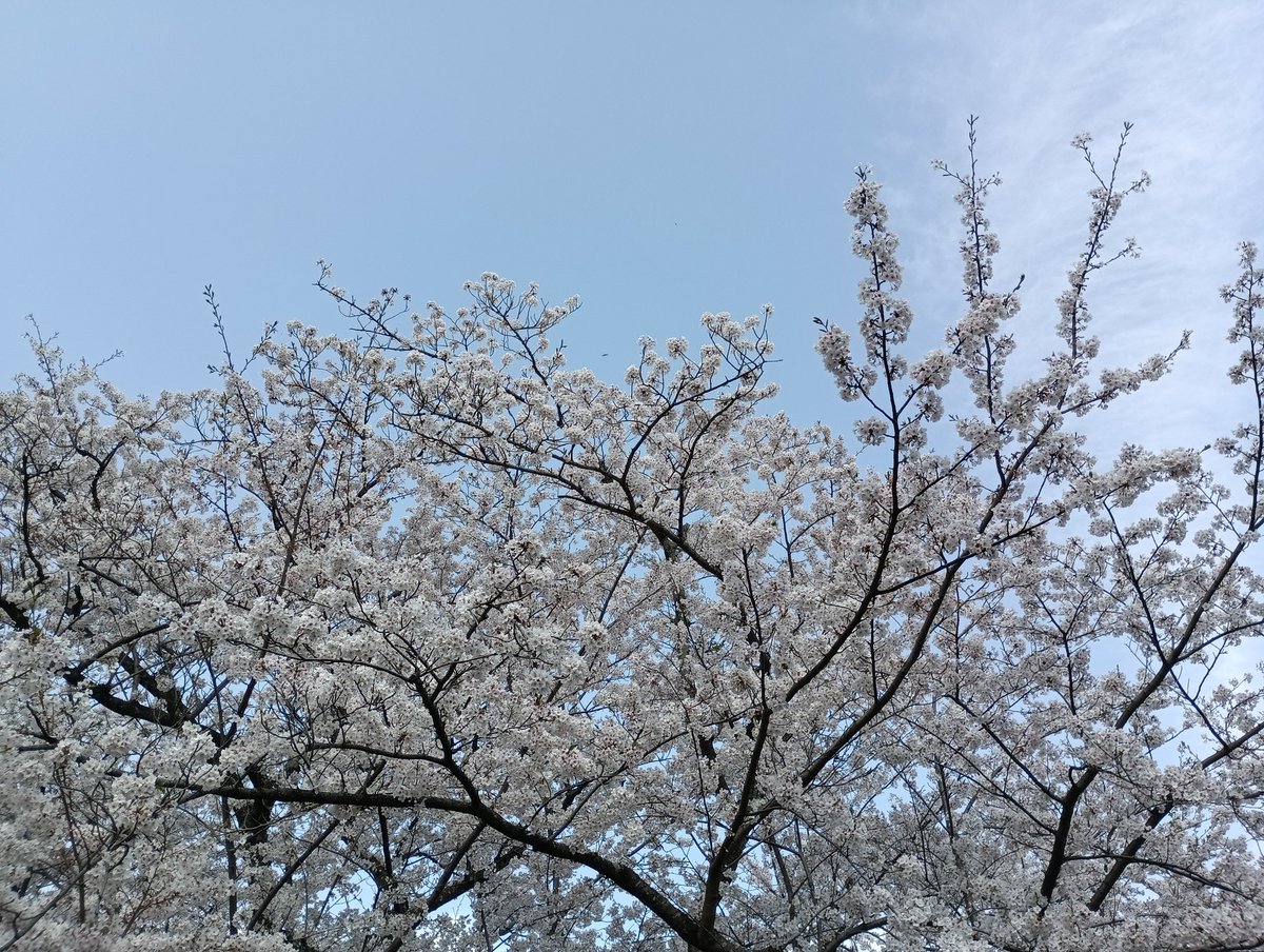 ゆずx20a@星ドラ[UNITY] tweet media