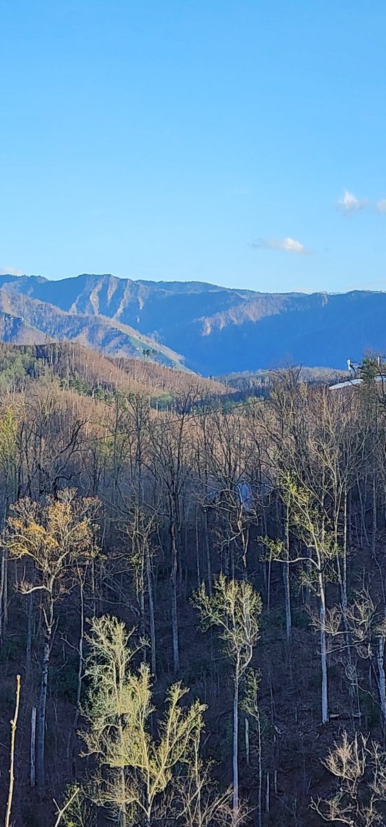 Russell Montgomery tweet media