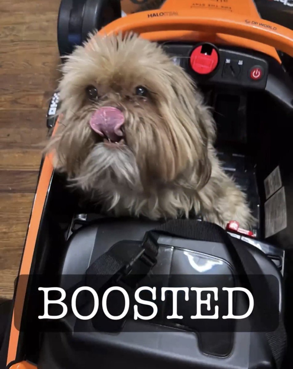 THE HERD HOUSE tweet media