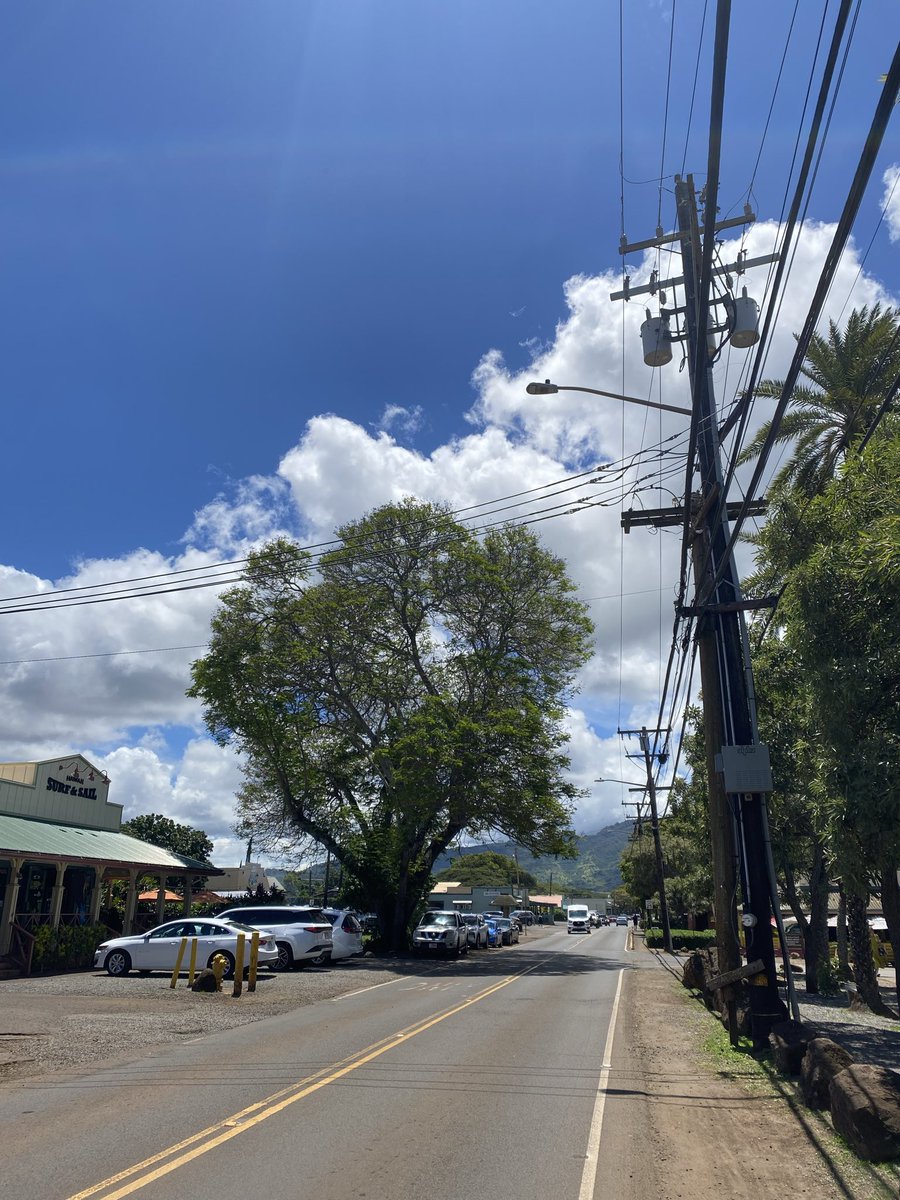 hawaiine55's tweet photo. イースター🐣
ハレイワはいい天気 https://t.co/DRCzEUFxS2