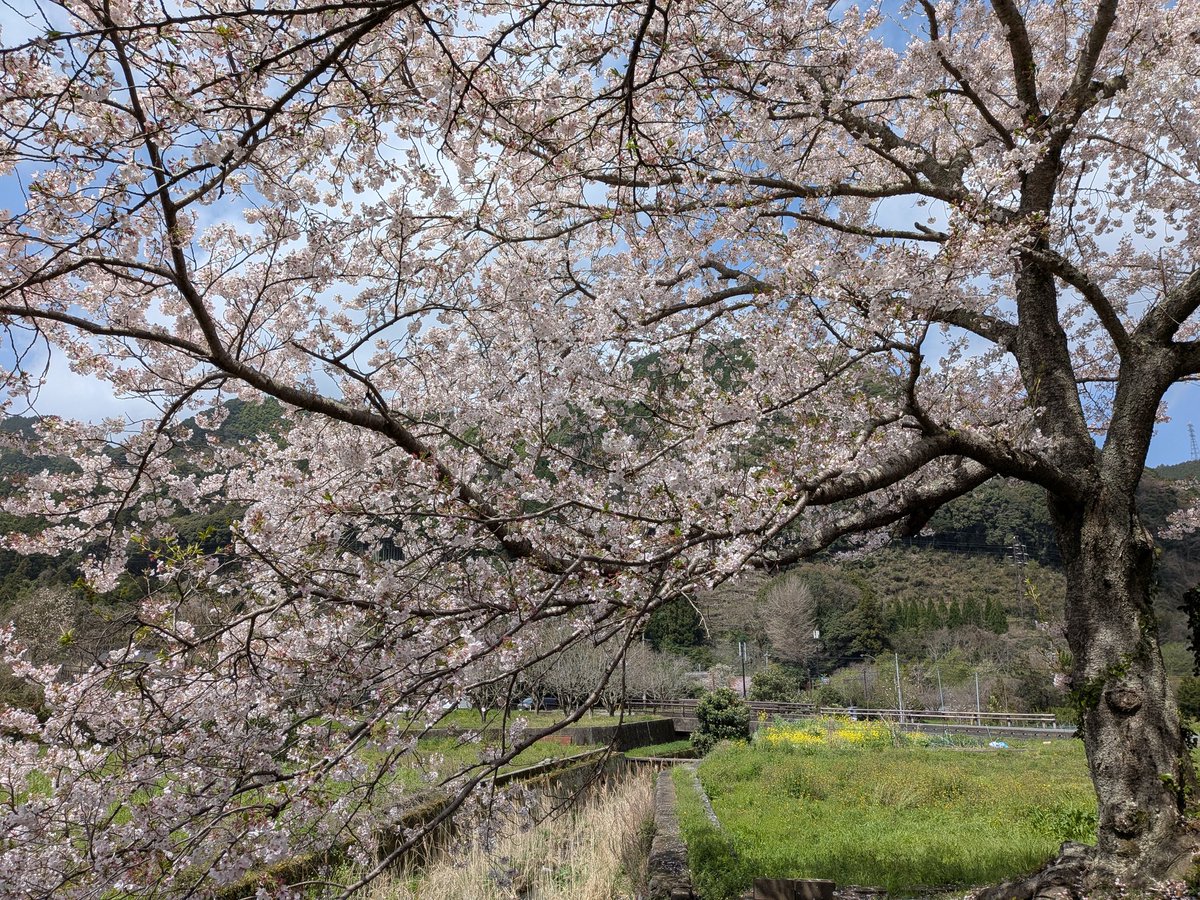 SPARKIN' MORNING エフエム山口 tweet media