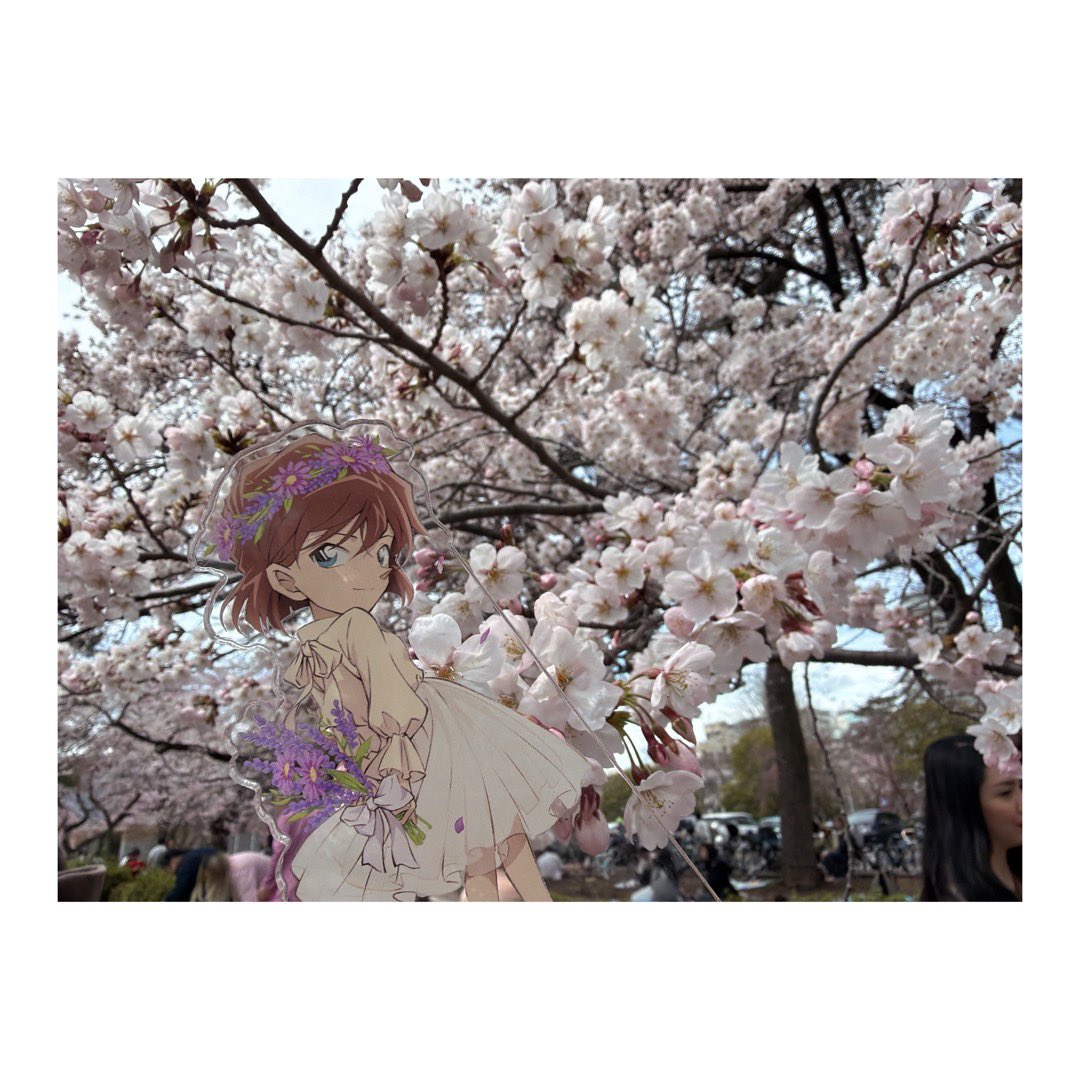 あきゃ tweet media