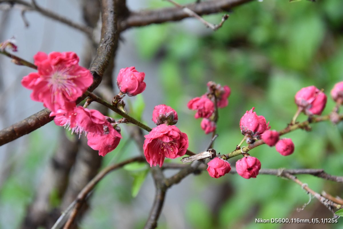 (*ˊ˘ˋ*)♡

     𝔾𝕠𝕠𝕕 𝕄𝕠𝕣𝕟𝕚𝕟𝕘 ☀︎*.｡💭

月曜日の朝✿·͜·ᰔ

     胸を張って深呼吸(∩ˇωˇ)∩ｽｩ…(⊃ˇωˇ)⊃ﾊｰ✋