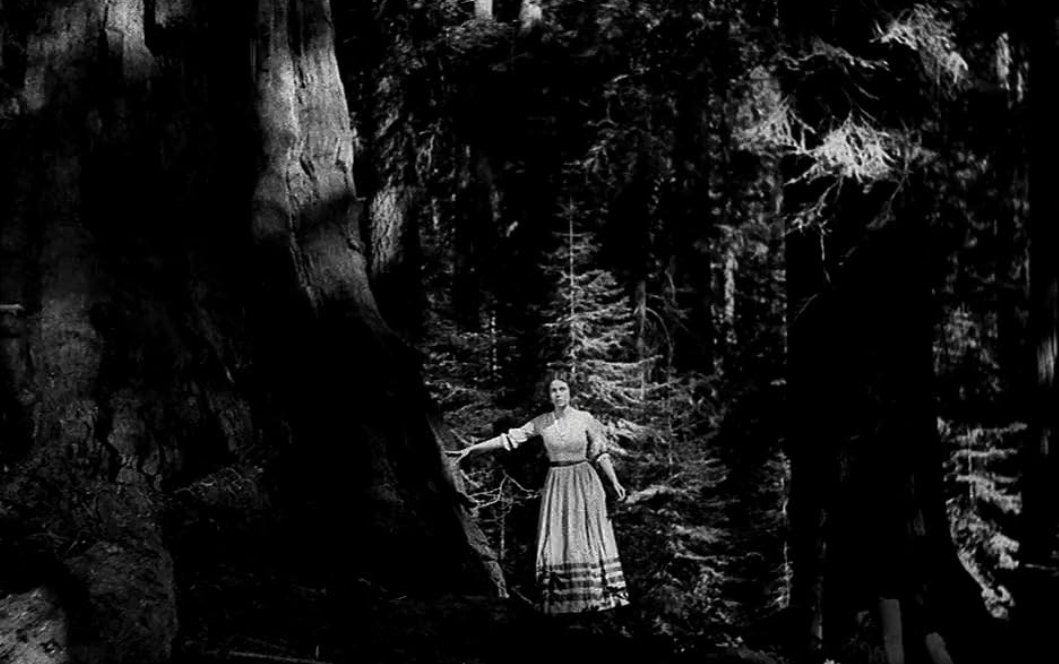 Don Ramon tweet media