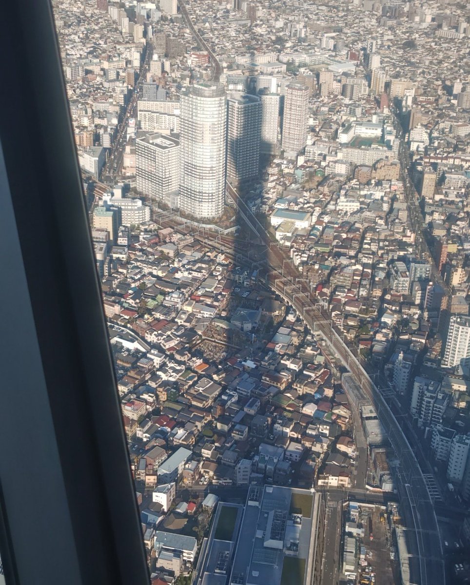 チィベェー⭐️ tweet media