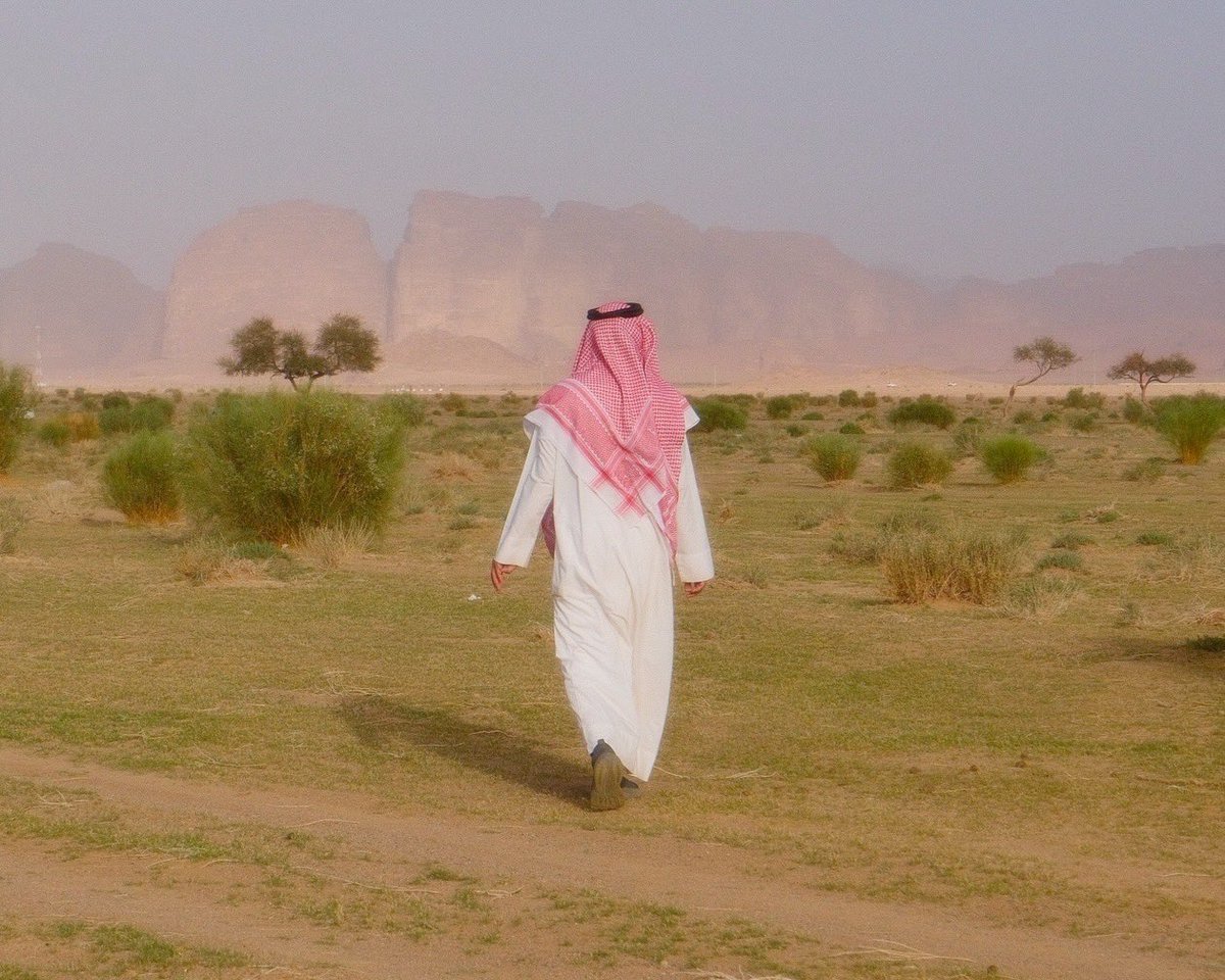 rlllit's tweet photo. مقناصي لأحد أيام الربيّـع.. https://t.co/W39vwzWSUu