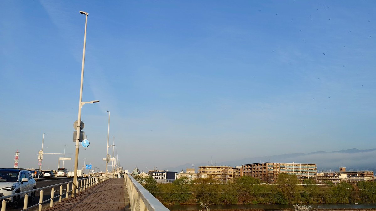 マーシー🤓🌱✨❤️2nd tweet media