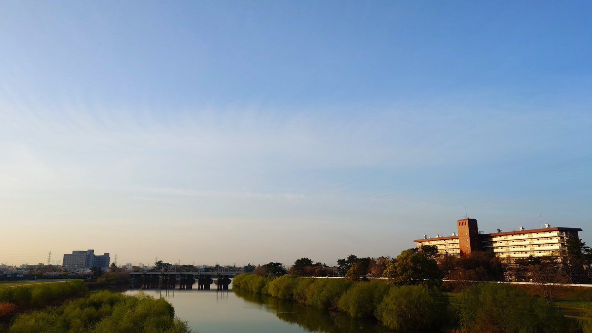 マーシー🤓🌱✨❤️2nd tweet media