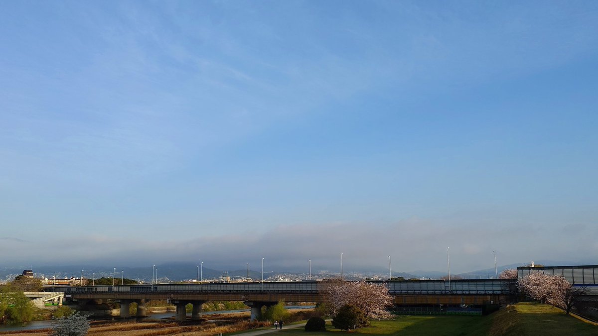 マーシー🤓🌱✨❤️2nd tweet media