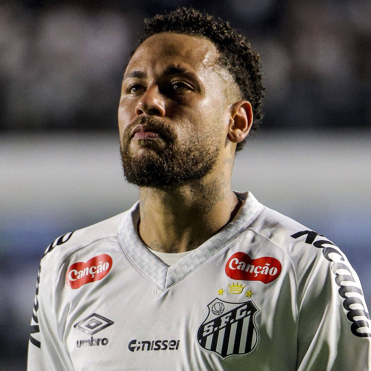 REAL MIL GRAU tweet media