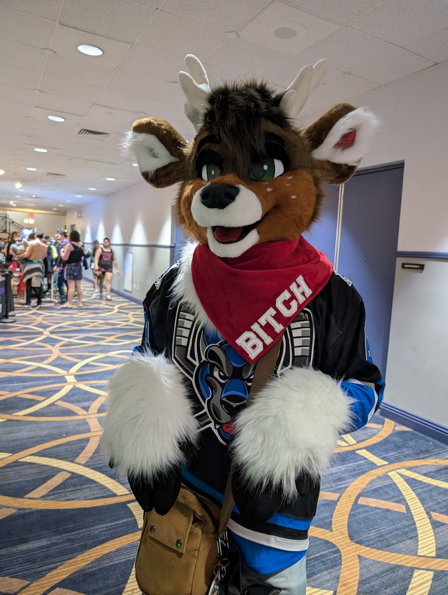 Aitrus Otter @ LVFC tweet media