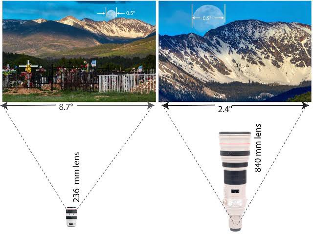 the bird 🦉 tweet media