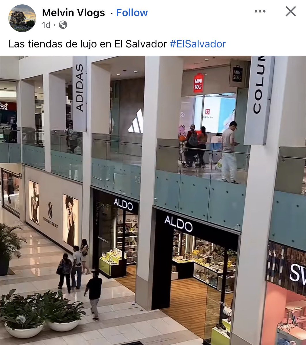 La Bayuncada Cyan ® 🤡 tweet media