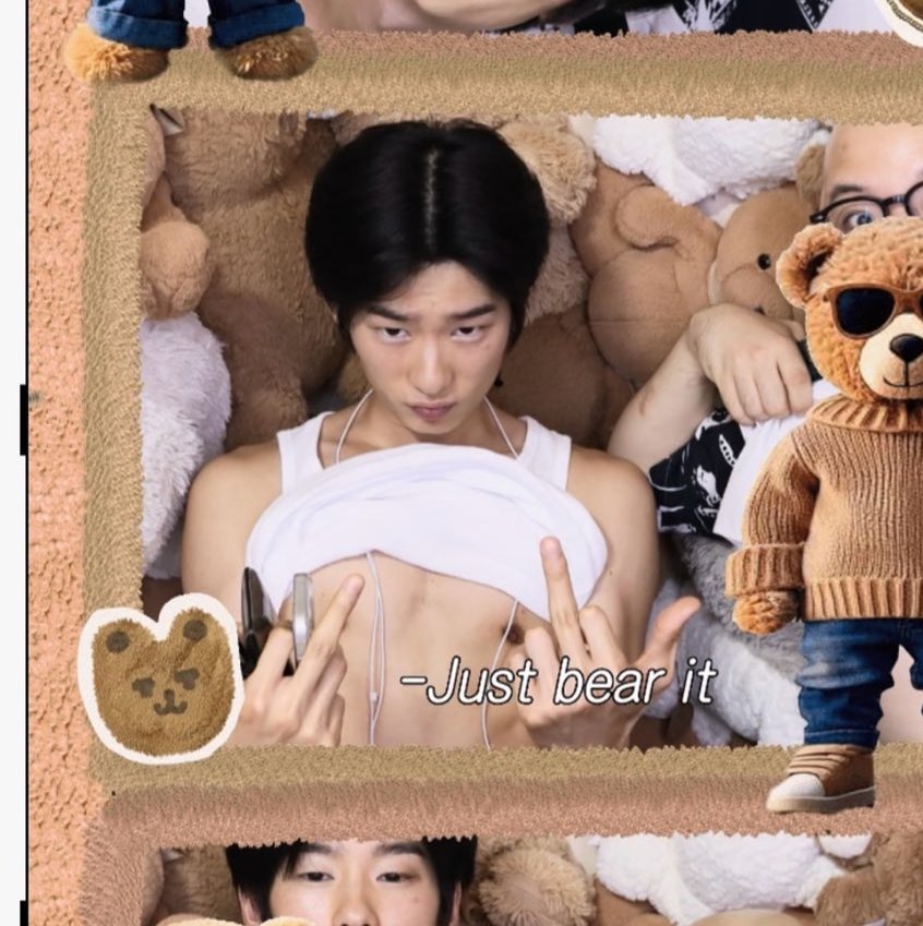 고양이 tweet media