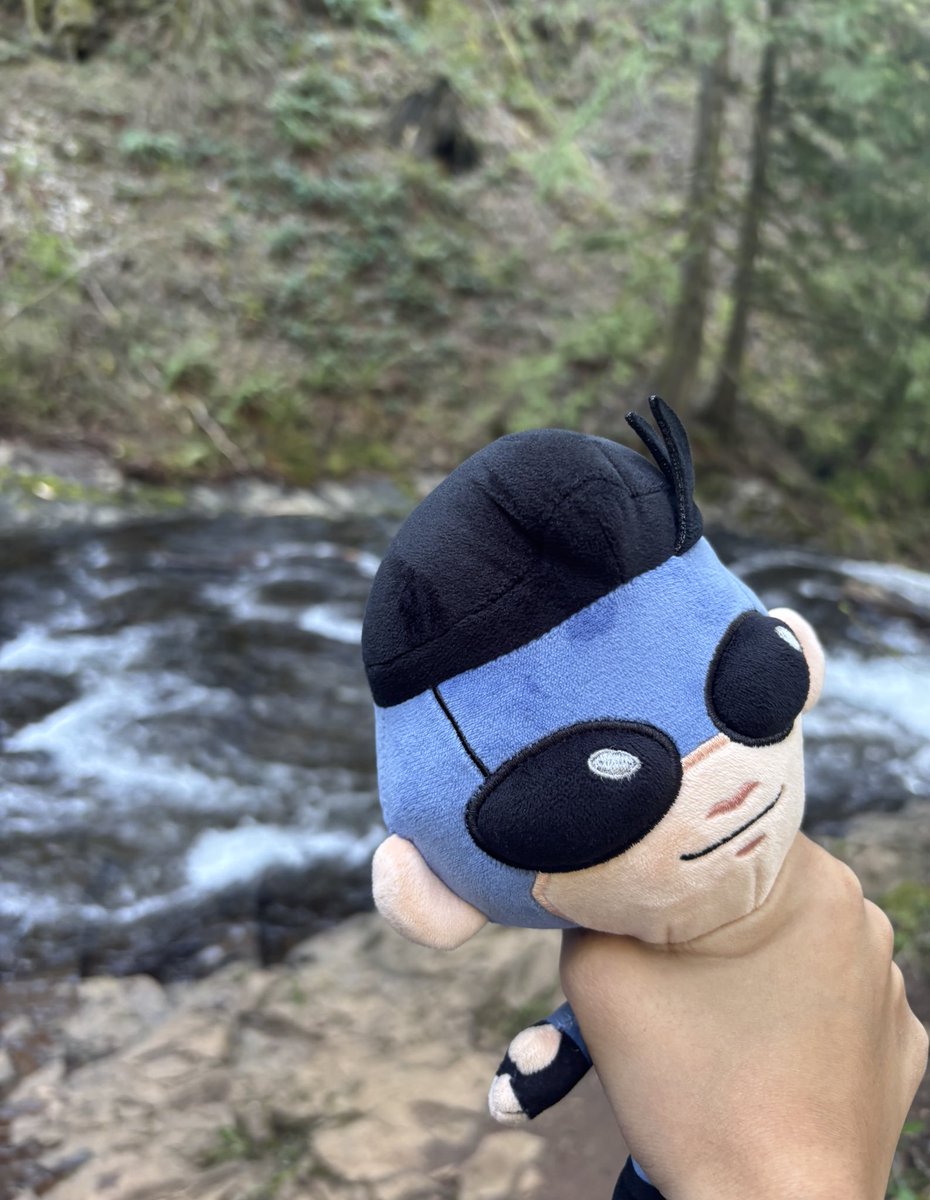 nico🌱 tweet media