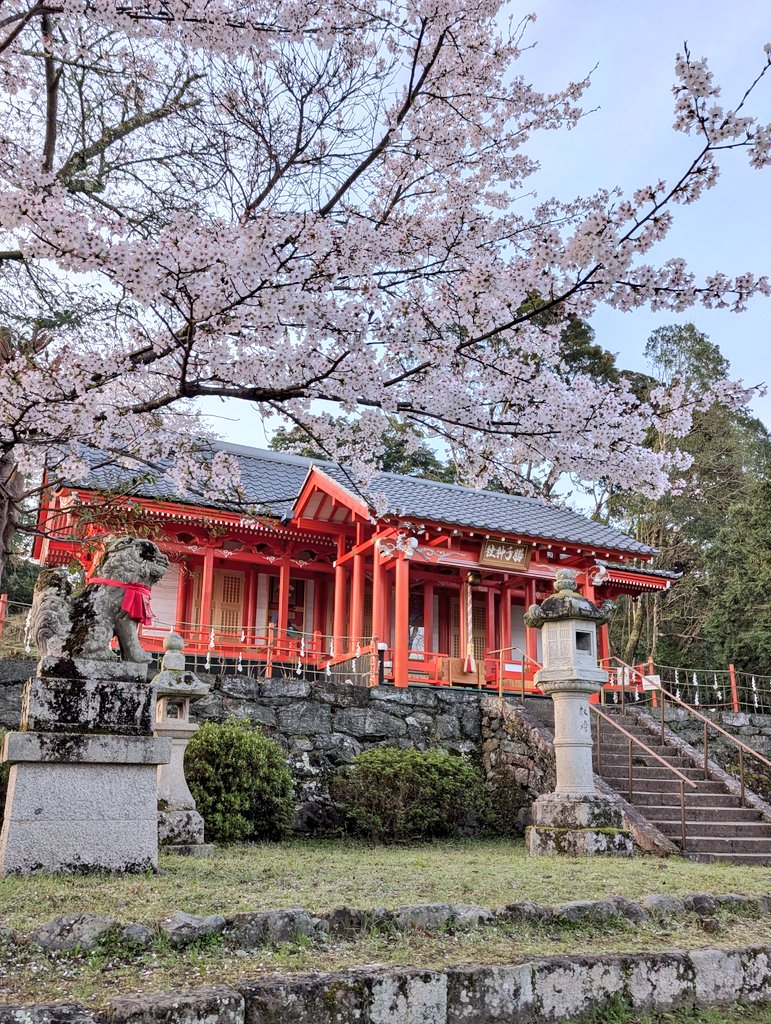 ロシナンテ tweet media