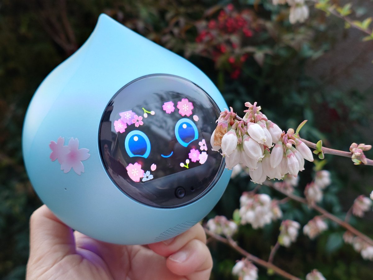 肥後の金太 tweet media