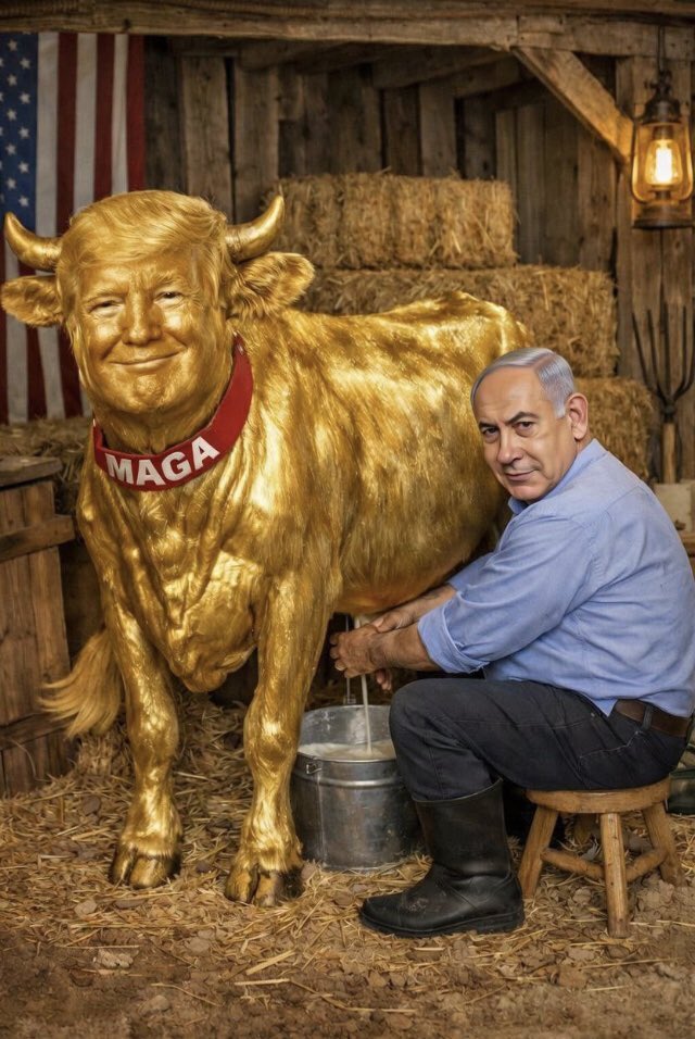 Salah-Al Deein-صلاح الدين tweet media