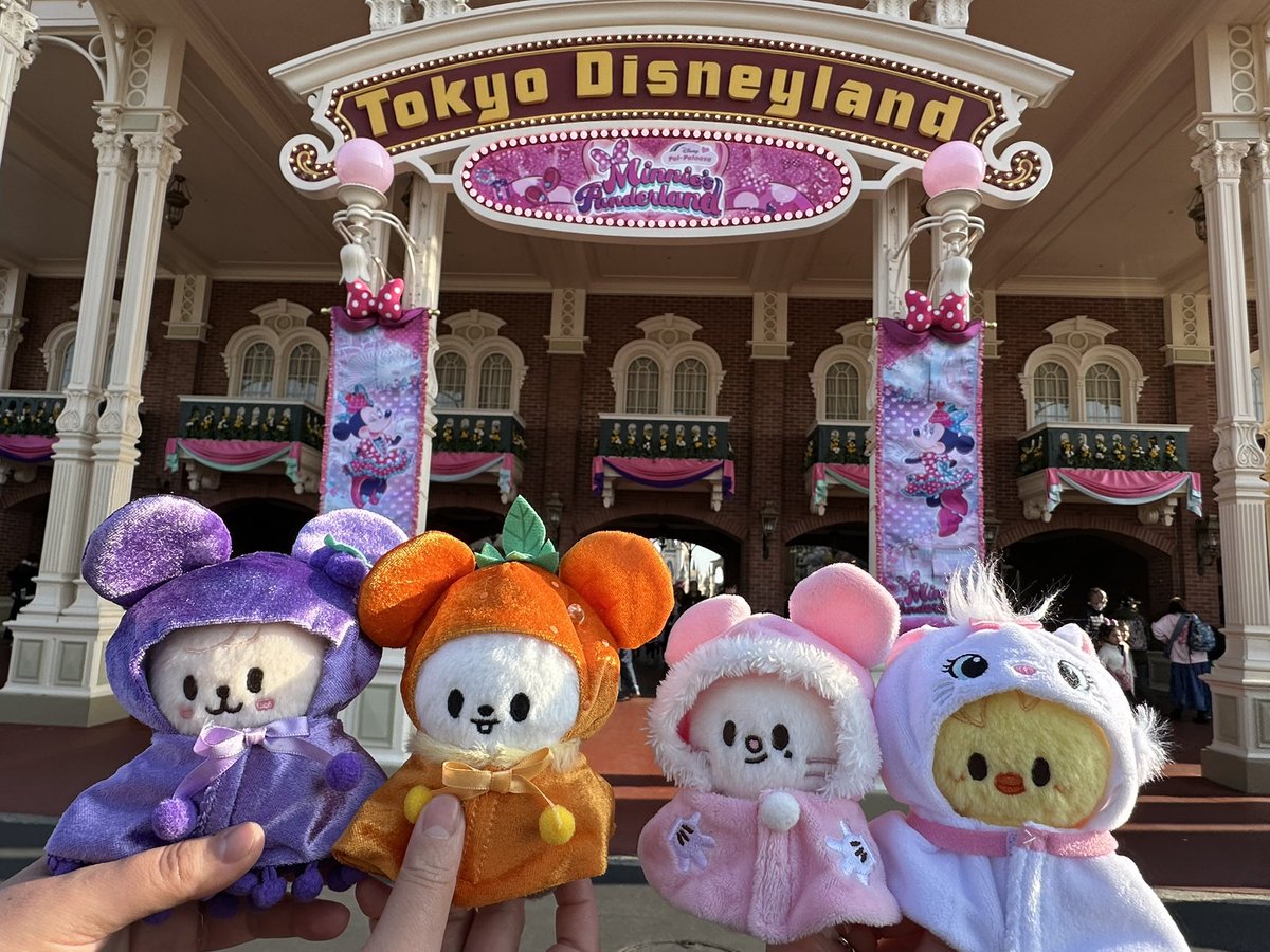 유복엘*.･🩷🩶𐙚 tweet media