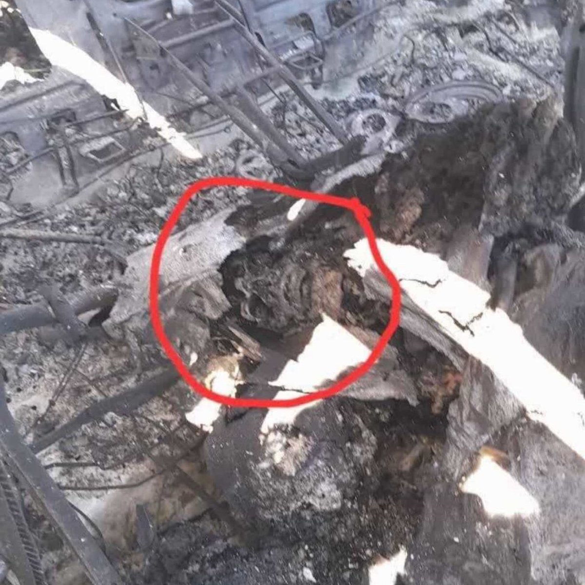 ShadowMario 🔥🇮🇱🔥🇺🇸🔥 tweet media