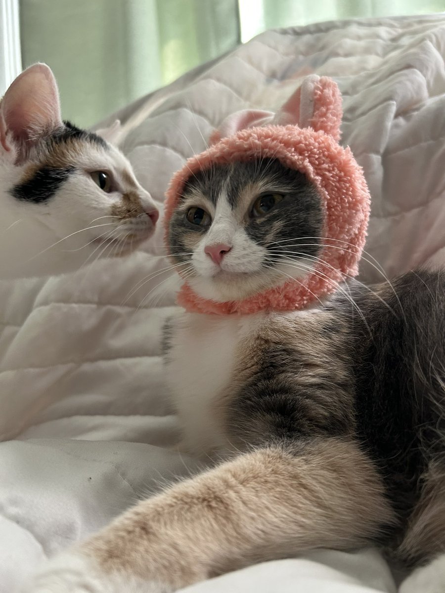 “A second plane has hit the towers”