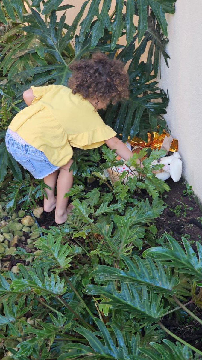 Pedro D'eyrot 1️⃣4️⃣⬛️🟨⬜️ tweet media