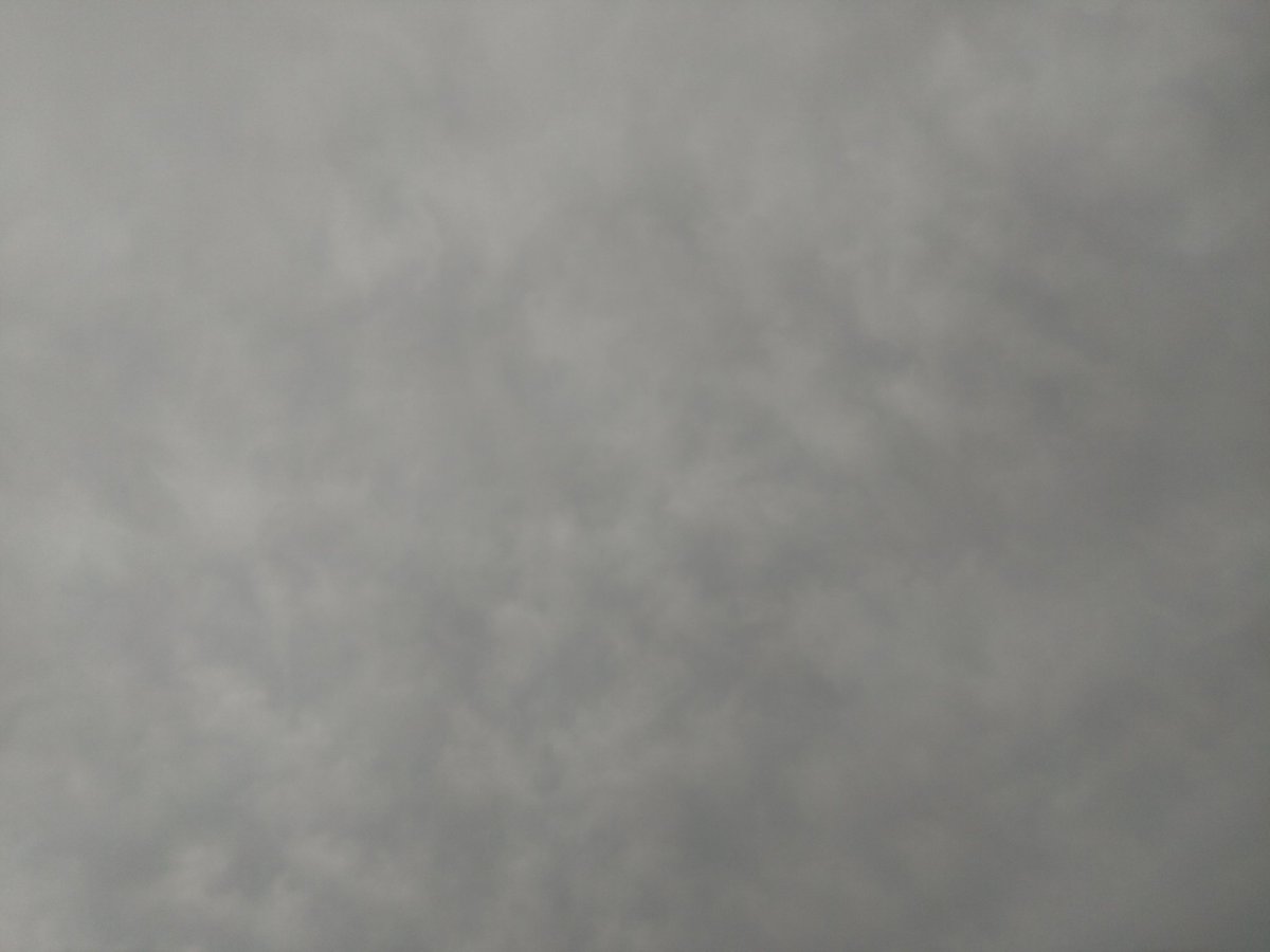 えちどんRTは踊る（本職 越後屋） tweet media