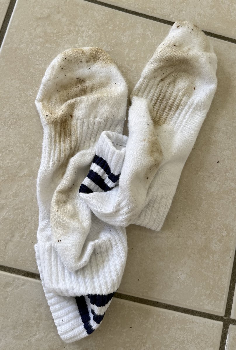 roughfeetguy's tweet photo. Gym done for the day.
#dirtygymsocks #smellysocks #sweatysocks #mensfeet #sockfetish https://t.co/wDUCS992AM