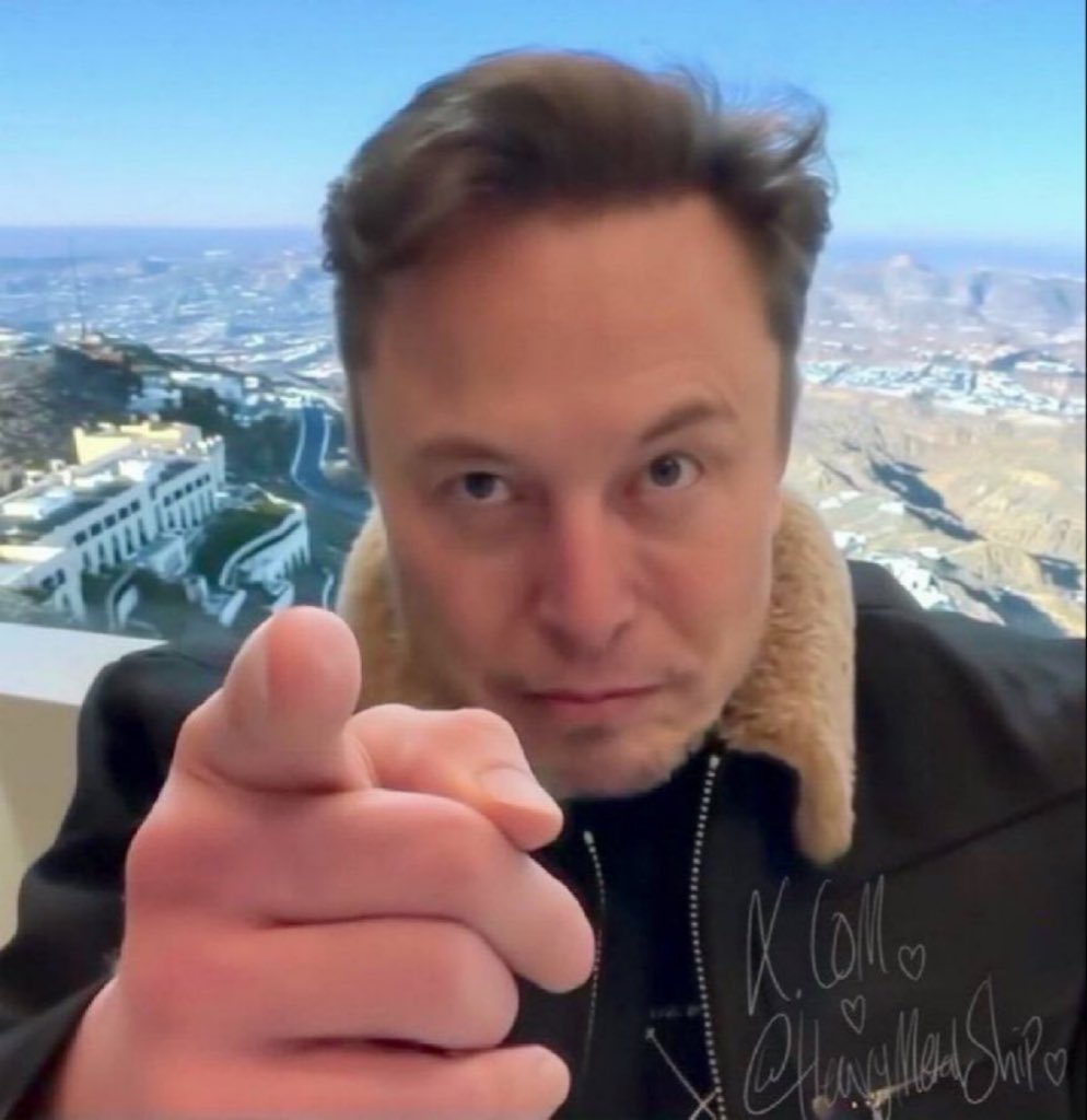 (FAN) Elon musk fanatic tweet media