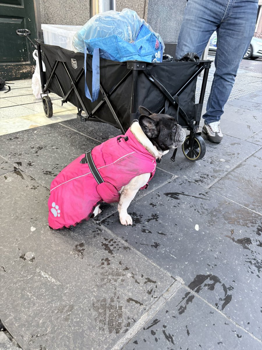 The Invisibles tweet media