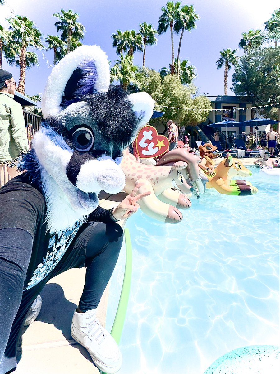 What of Kind You of What Dog Kind Are Dog You????? tweet media