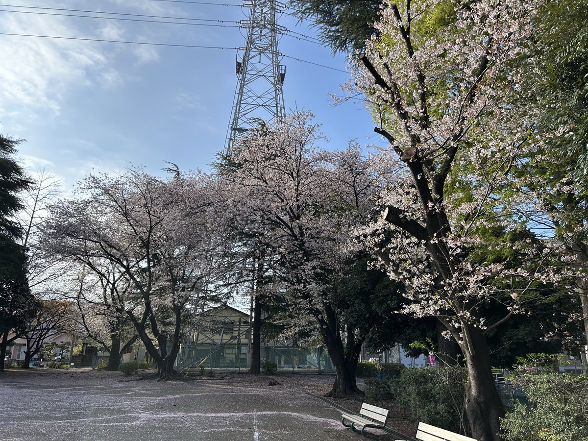 秘密基地moleと風來の森　管理人 tweet media