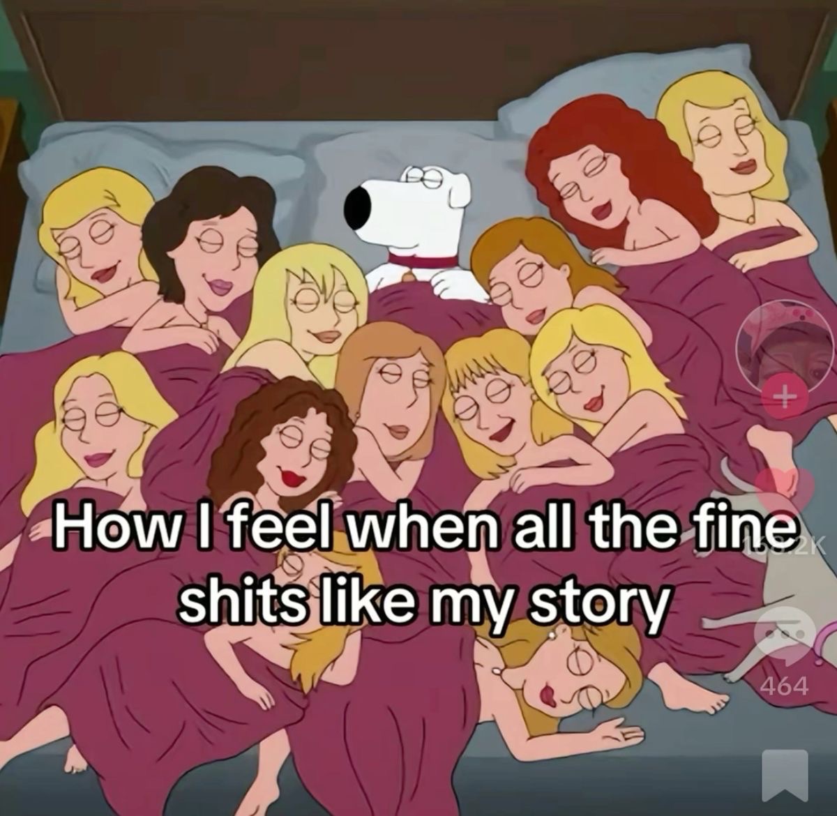 dex 💫 tweet media