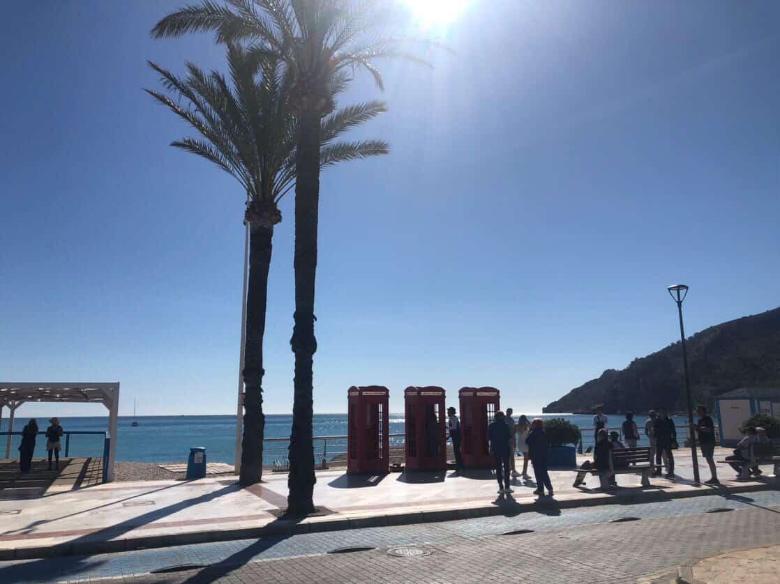 PROYECTO CULTURA tweet media