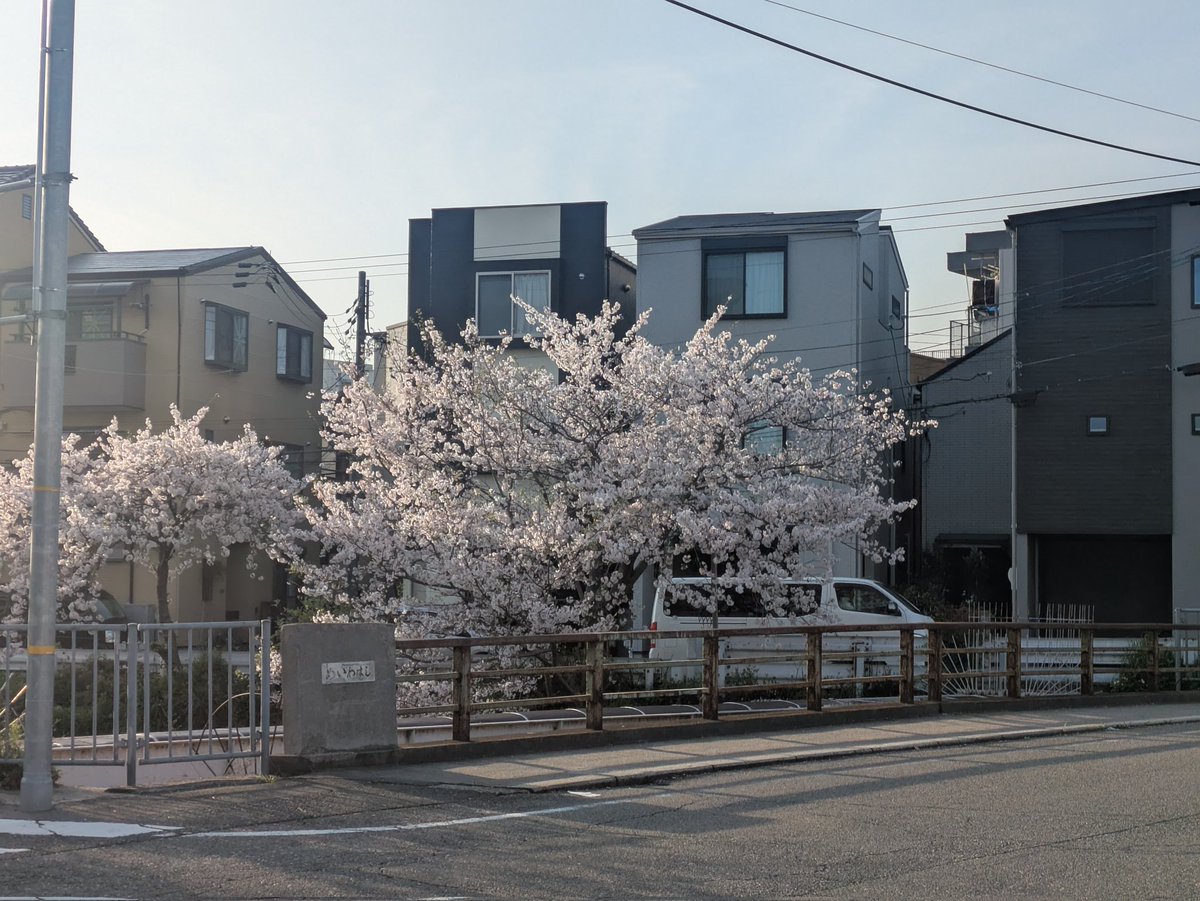 雑談好きのヒイロ🎗\(´ω`)/🎶UBI賛成! tweet media