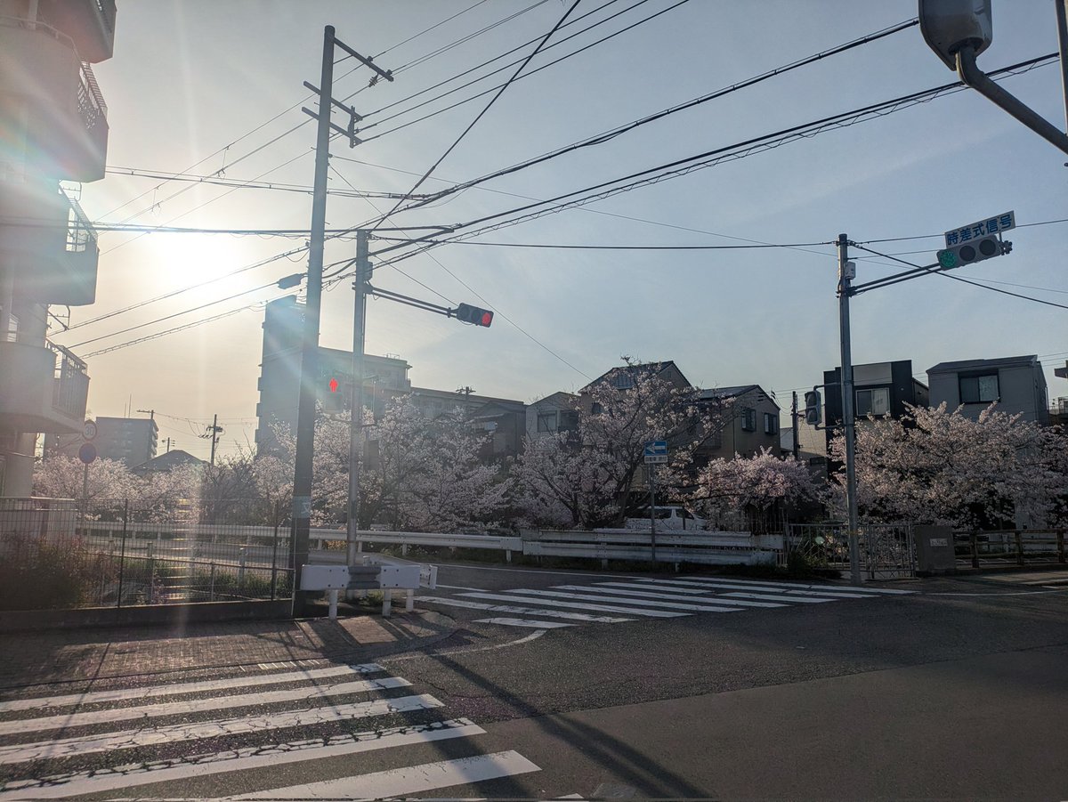 雑談好きのヒイロ🎗\(´ω`)/🎶UBI賛成! tweet media