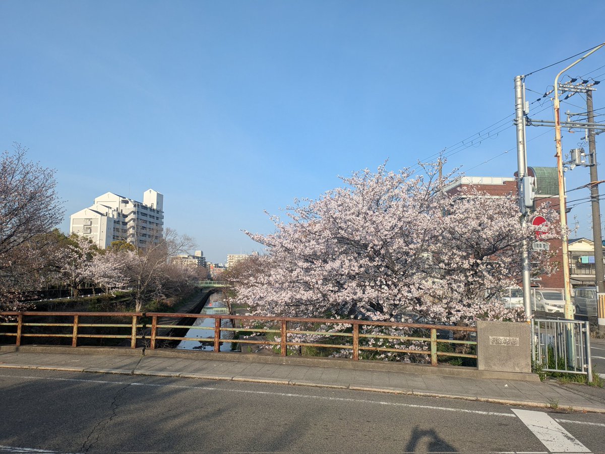 雑談好きのヒイロ🎗\(´ω`)/🎶UBI賛成! tweet media