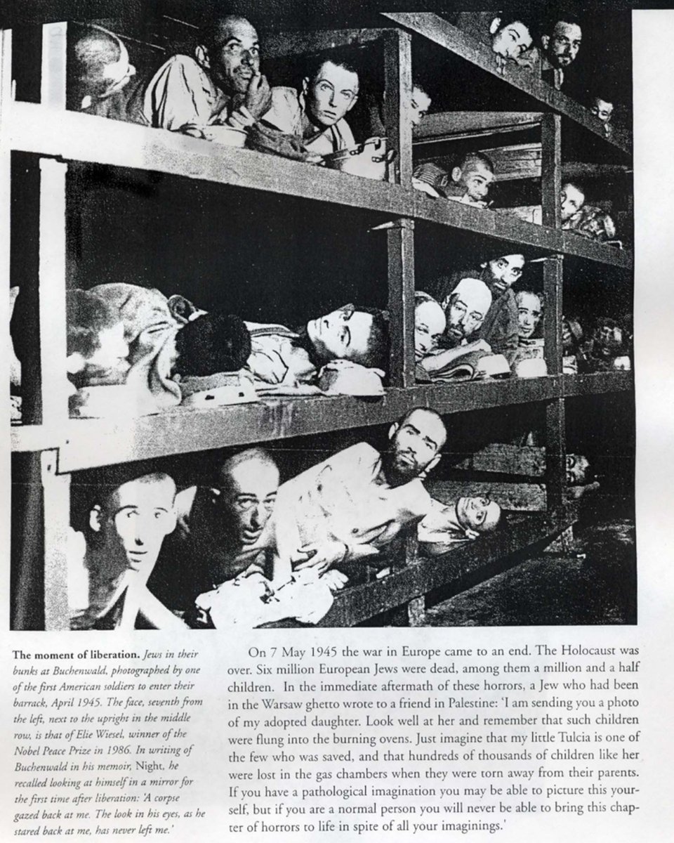 JFNNJ 🇮🇱 tweet media