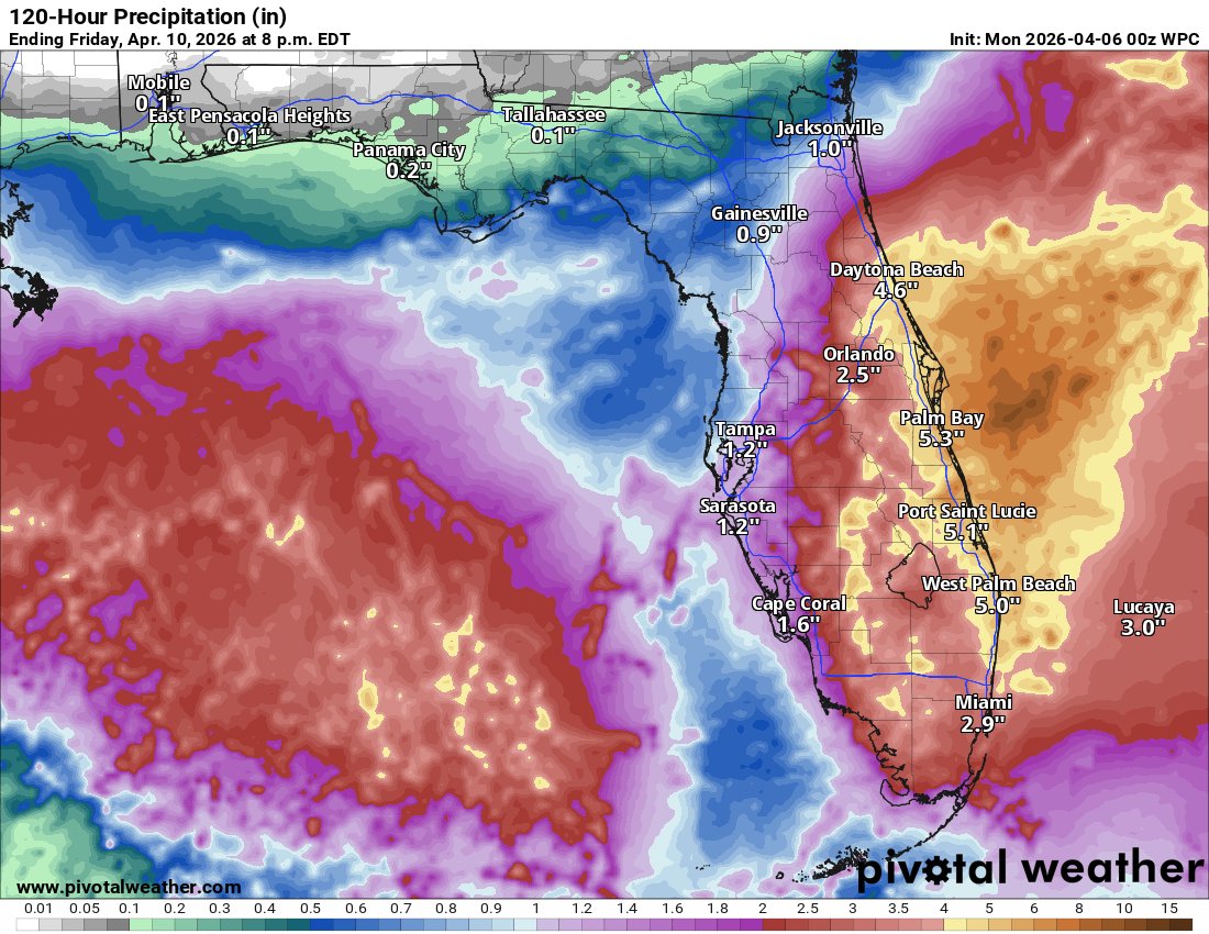 Florida Tropics tweet media