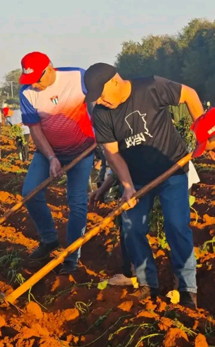 Excelente mañana #UnidosXCuba
Nuestro aporte cuenta #YoSigoAMíPresidente 
#CubaEstáFirme 
#CubaEsCoraje