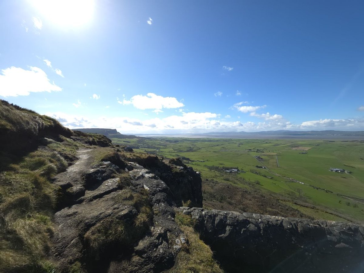 ZenAmbio tweet media