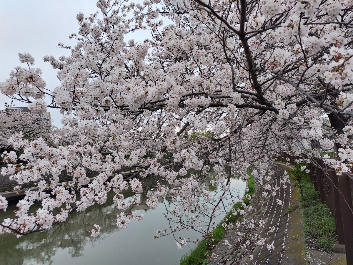 ソル🌗趣味総合垢 tweet media