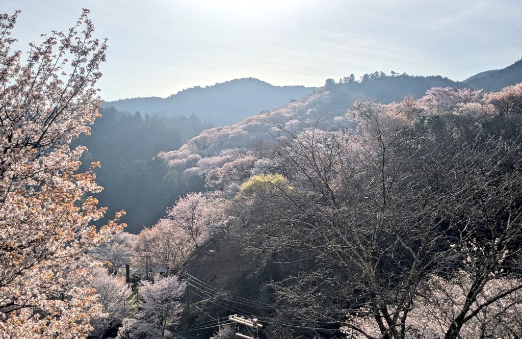 お食事処 静亭 tweet media