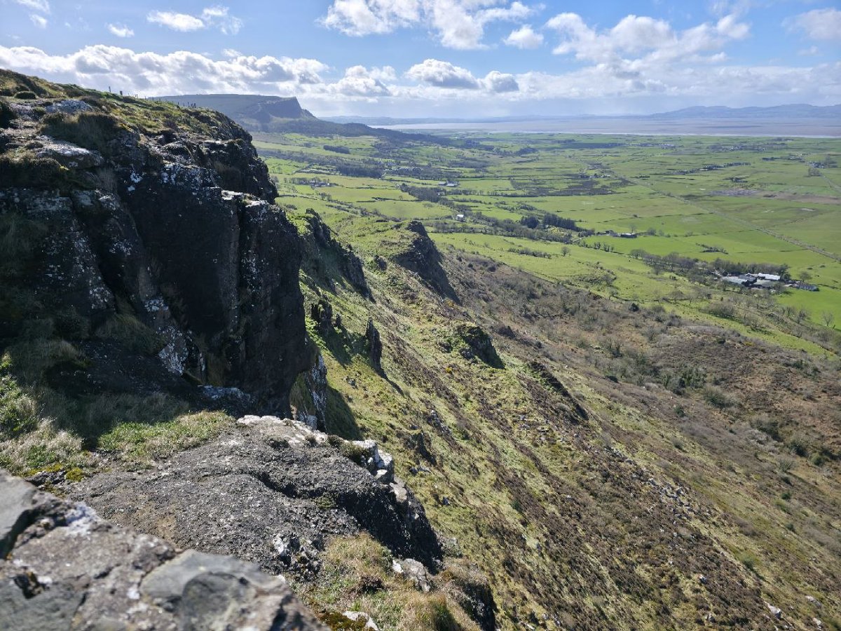 ZenAmbio tweet media