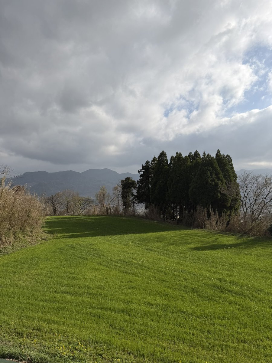 みやまん舟 tweet media